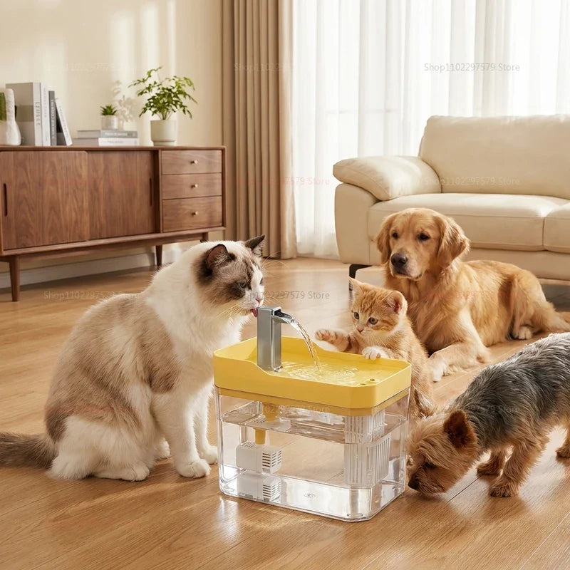 Keep Your Cat Hydrated With Smart Water Fountains