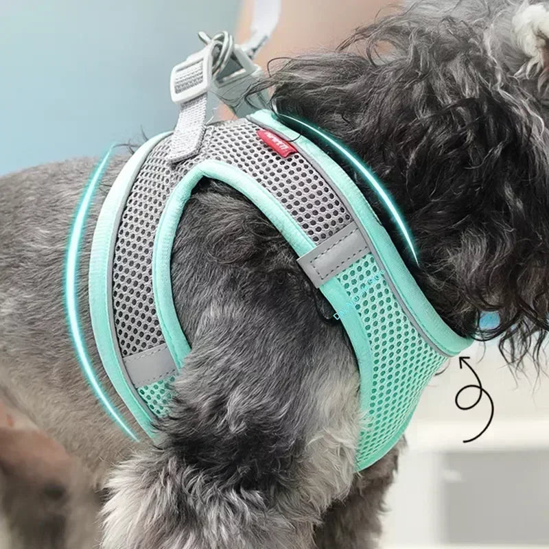 Best Dog Harness Leash Sets for Small Breeds