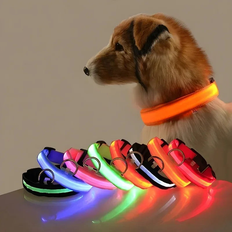 LED Dog Collar Safety Guide for Night Walks