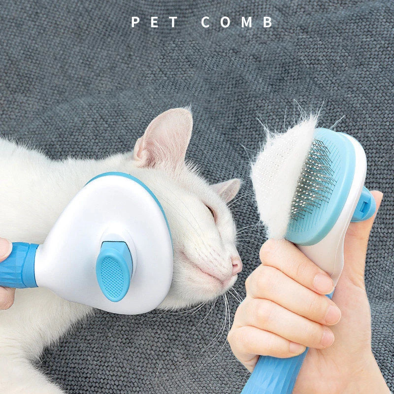 Essential Pet Grooming Tools for Healthy Coats