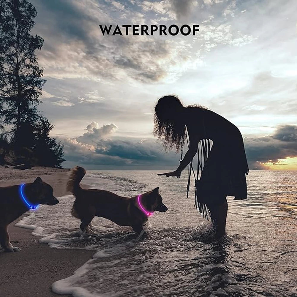 USB LED Dog Collar Led Dog Collar Luminous Usb Cat Dog Collar 3 Modes Led Light Glowing Loss Prevention LED Collar For Dogs Pet Dog Accessories