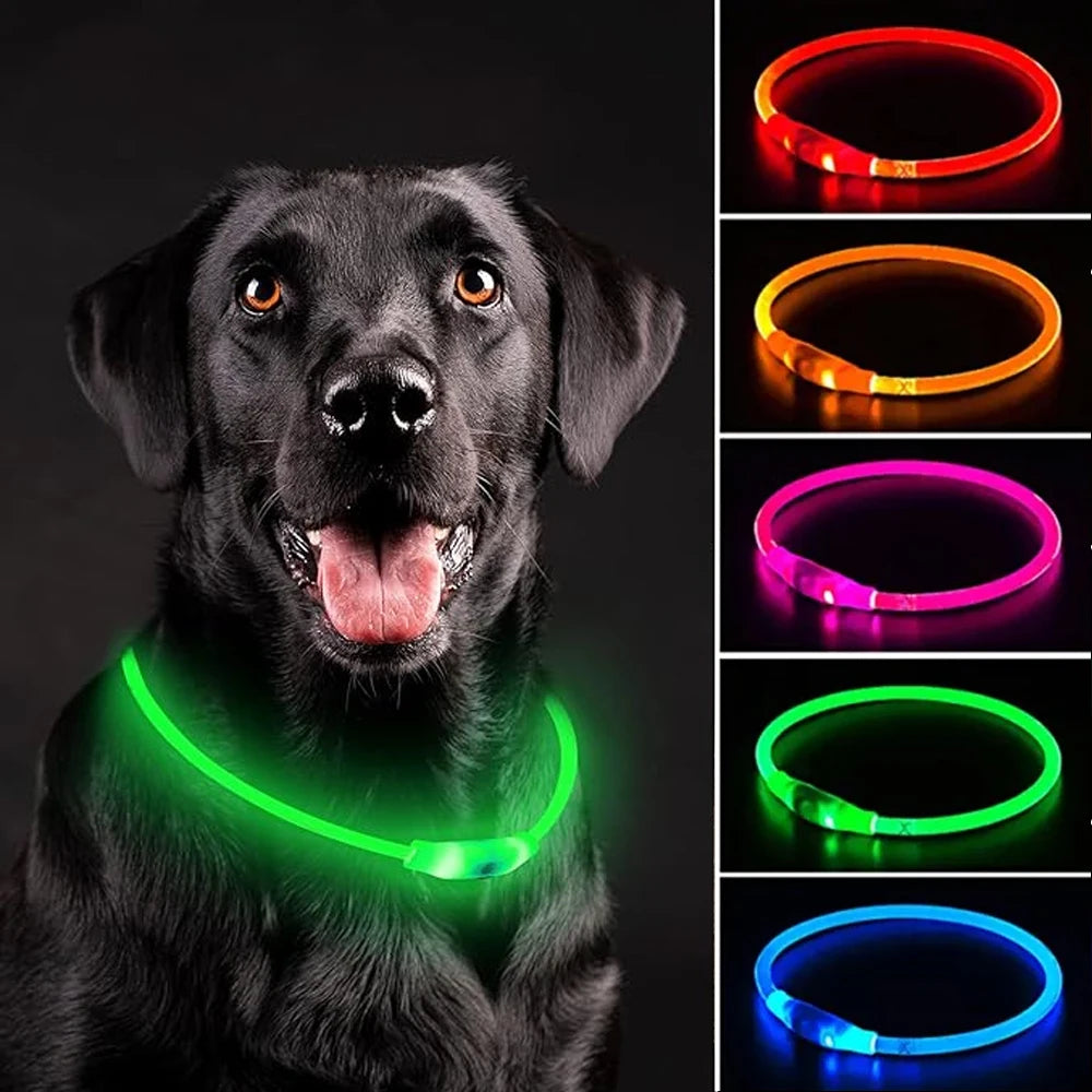 USB LED Dog Collar Led Dog Collar Luminous Usb Cat Dog Collar 3 Modes Led Light Glowing Loss Prevention LED Collar For Dogs Pet Dog Accessories