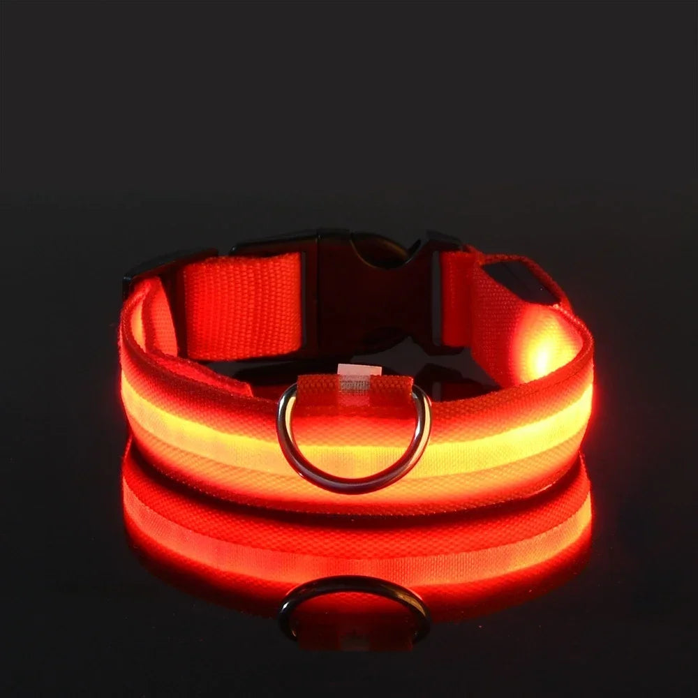 LED Dog Collar Dog Collar Nylon LED Night Safety Flashing Glow In The Dark Pet Dog Leash pet Dogs Luminous Fluorescent  dog accessories collar