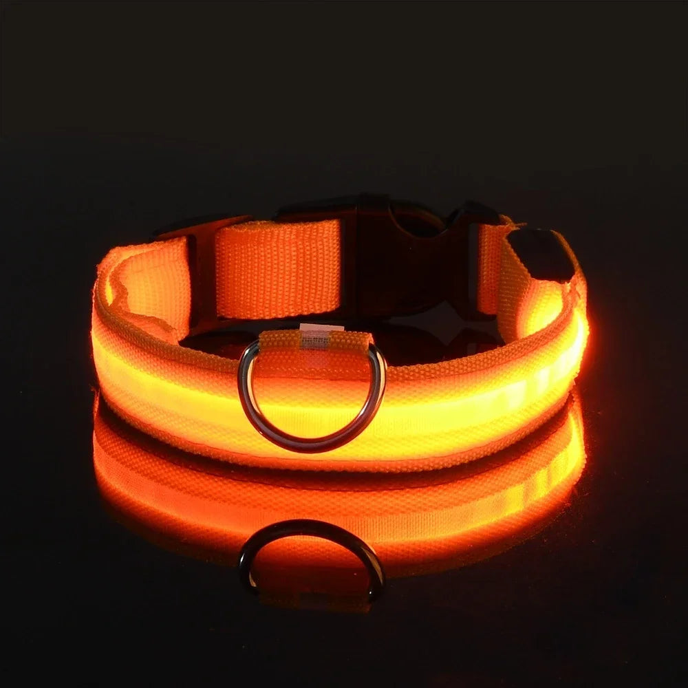 LED Dog Collar Dog Collar Nylon LED Night Safety Flashing Glow In The Dark Pet Dog Leash pet Dogs Luminous Fluorescent  dog accessories collar