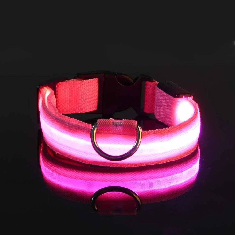 LED Dog Collar Dog Collar Nylon LED Night Safety Flashing Glow In The Dark Pet Dog Leash pet Dogs Luminous Fluorescent  dog accessories collar