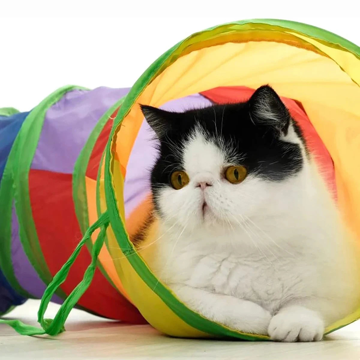 Cat Tunnel Toy Cat Tunnel Tube Foldable Cat Toys Kitty Training Interactive Fun Toy Tunnel Bored for Puppy Kitten Pet Supplies Cat Accessories